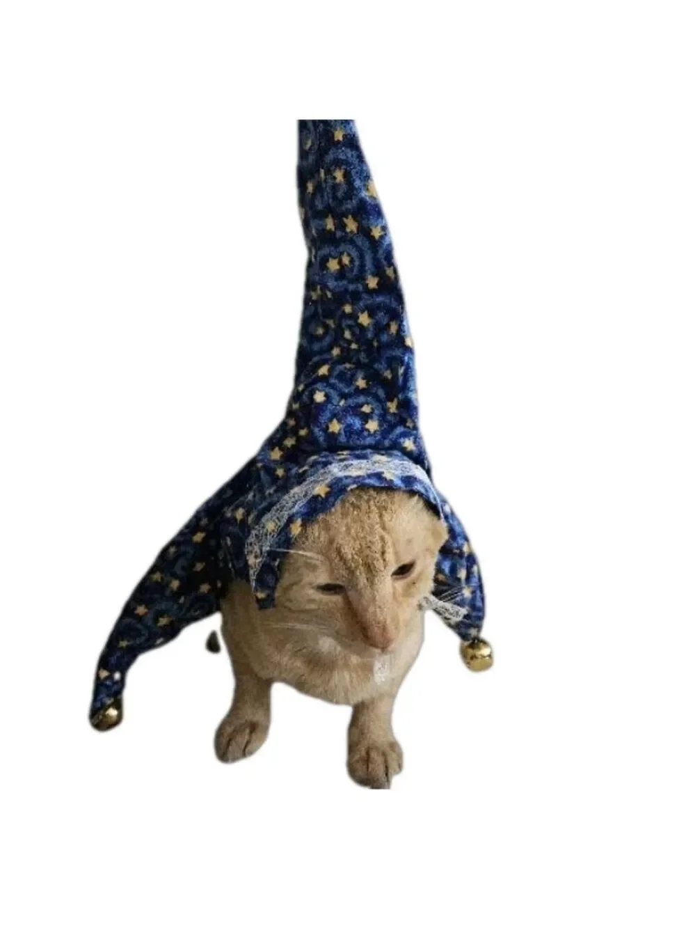 Hand Crafted Pet Witch Hat Large Extra Large